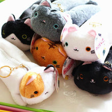 CUTE VARIED COLOR CAT PENCIL CANVAS CASE
