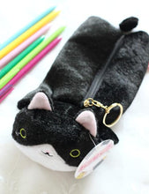 CUTE VARIED COLOR CAT PENCIL CANVAS CASE