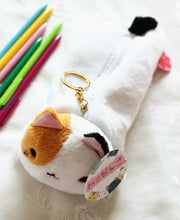 CUTE VARIED COLOR CAT PENCIL CANVAS CASE